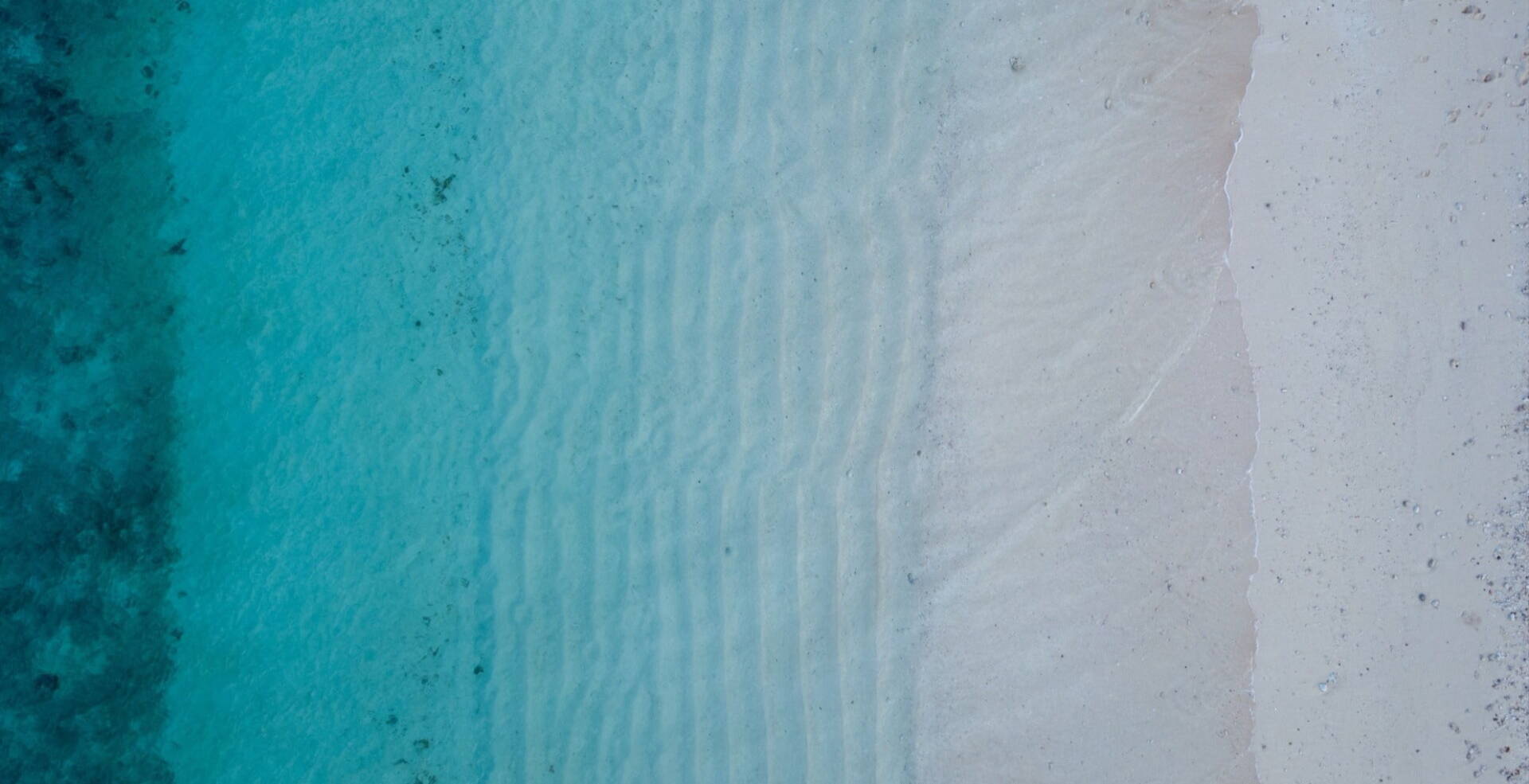 bird's view of a blue gradient sea