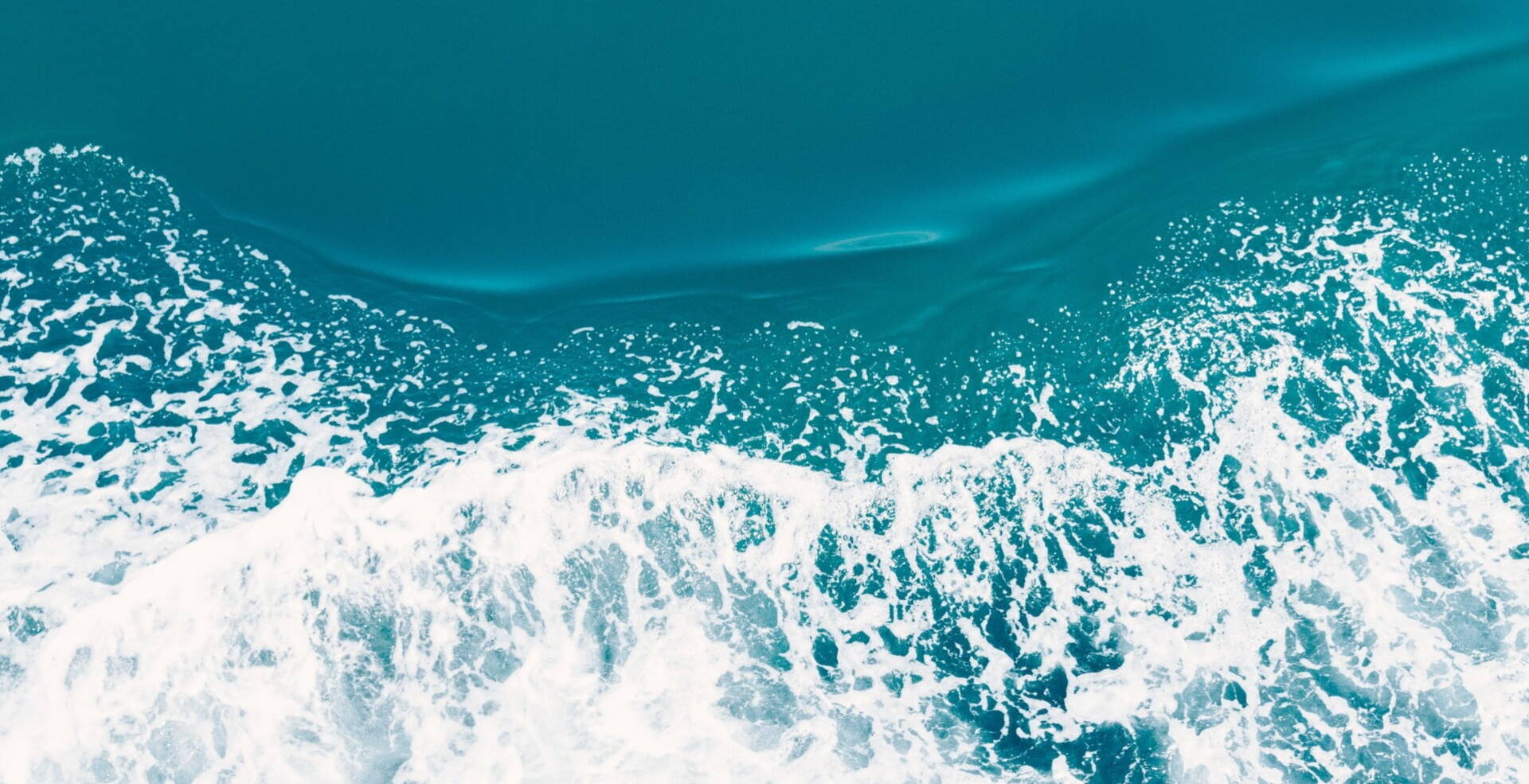 bird view of blue ocean waves