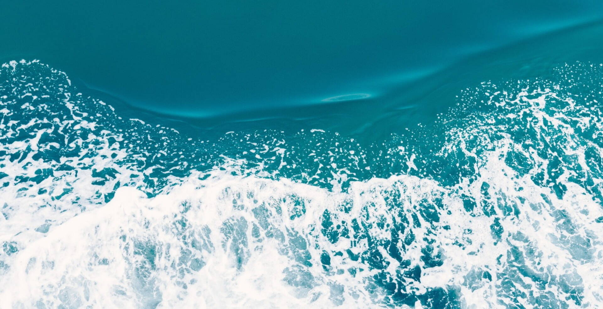 bird view of blue ocean waves