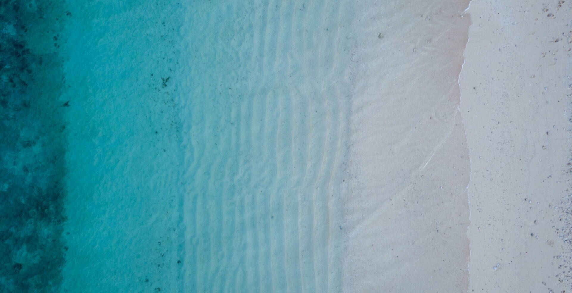 birds view of waves in gradient blue