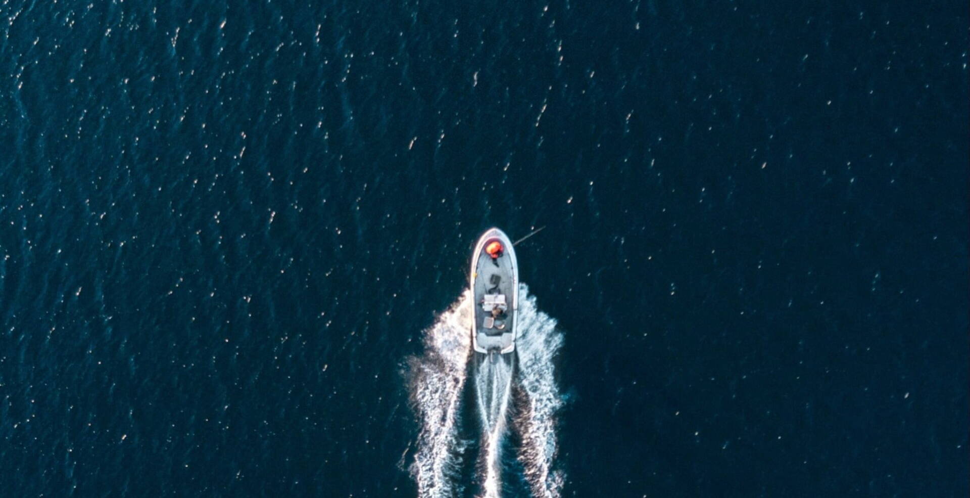 birds view of boat cruising on water